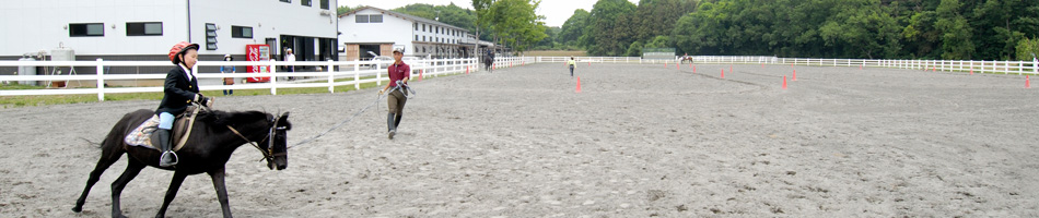 柏乗馬クラブ【茨城県／スポーツ乗馬・レッスン・ライセンス取得】